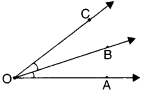 NCERT Solutions for Class 6 Maths Chapter 4 Basic Geometrical Ideas 17